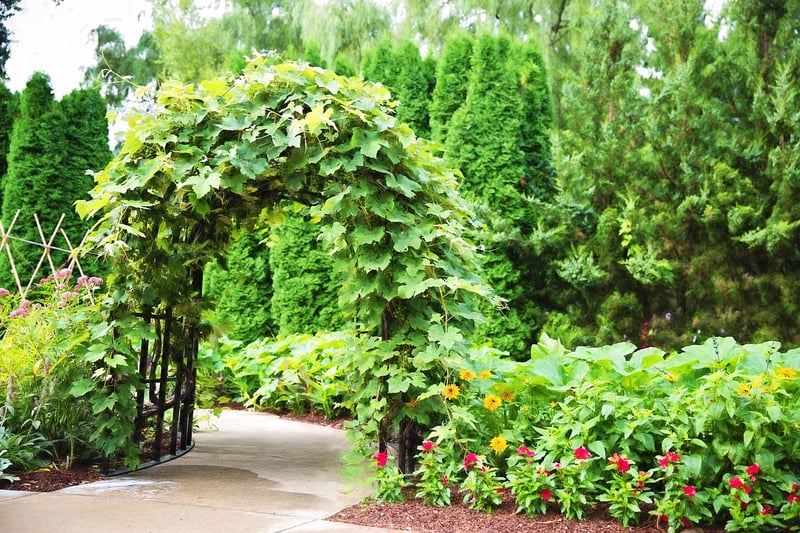 Floral Arbors